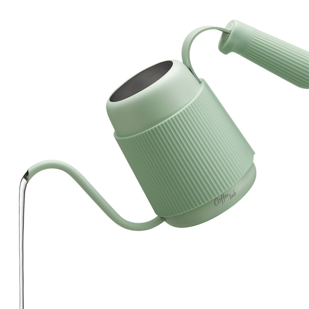 Buydeem Gooseneck Pour Over Coffee & Tea Kettle BuydeemUS