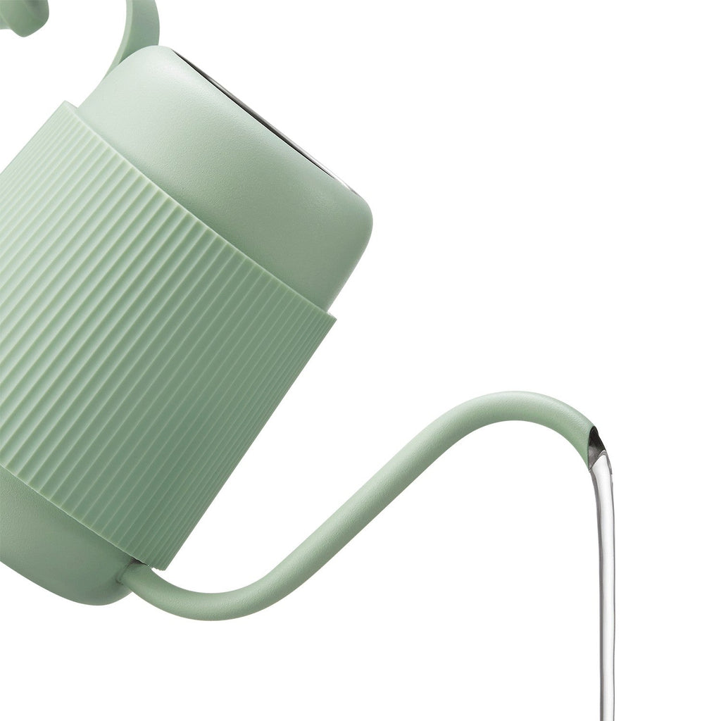 Buydeem Gooseneck Pour Over Coffee & Tea Kettle BuydeemUS